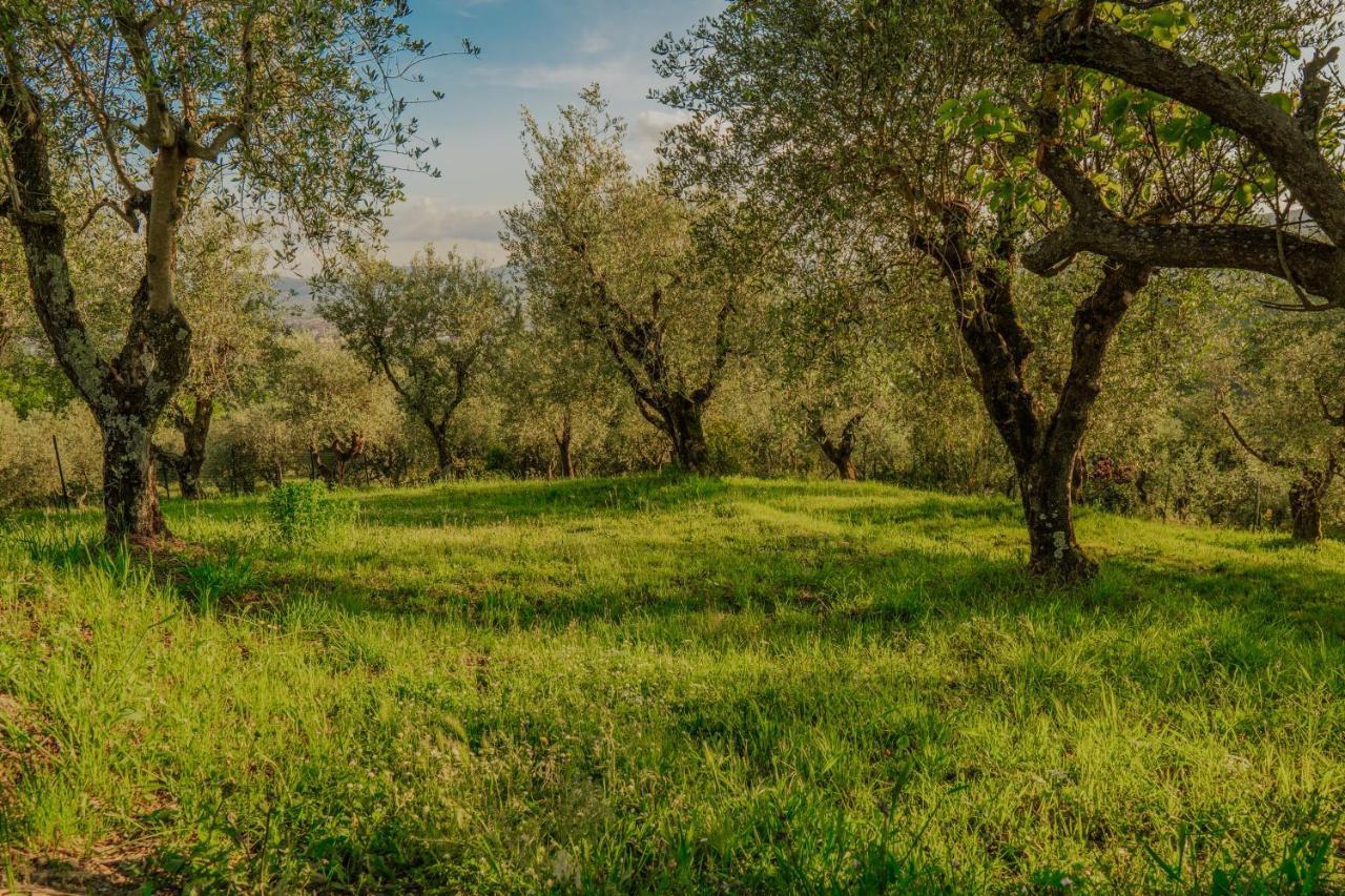 L'Otello B&B Pistoia Buitenkant foto