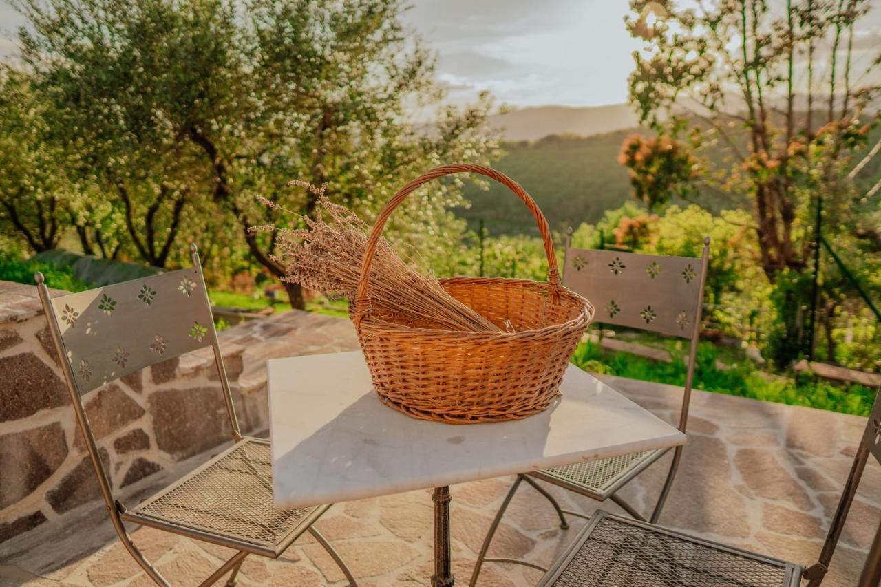 L'Otello B&B Pistoia Buitenkant foto